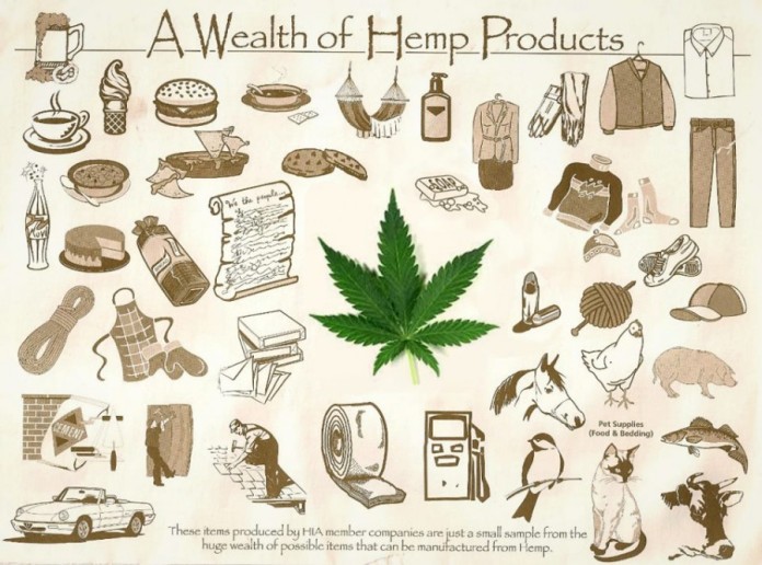 Image result for hemp product images